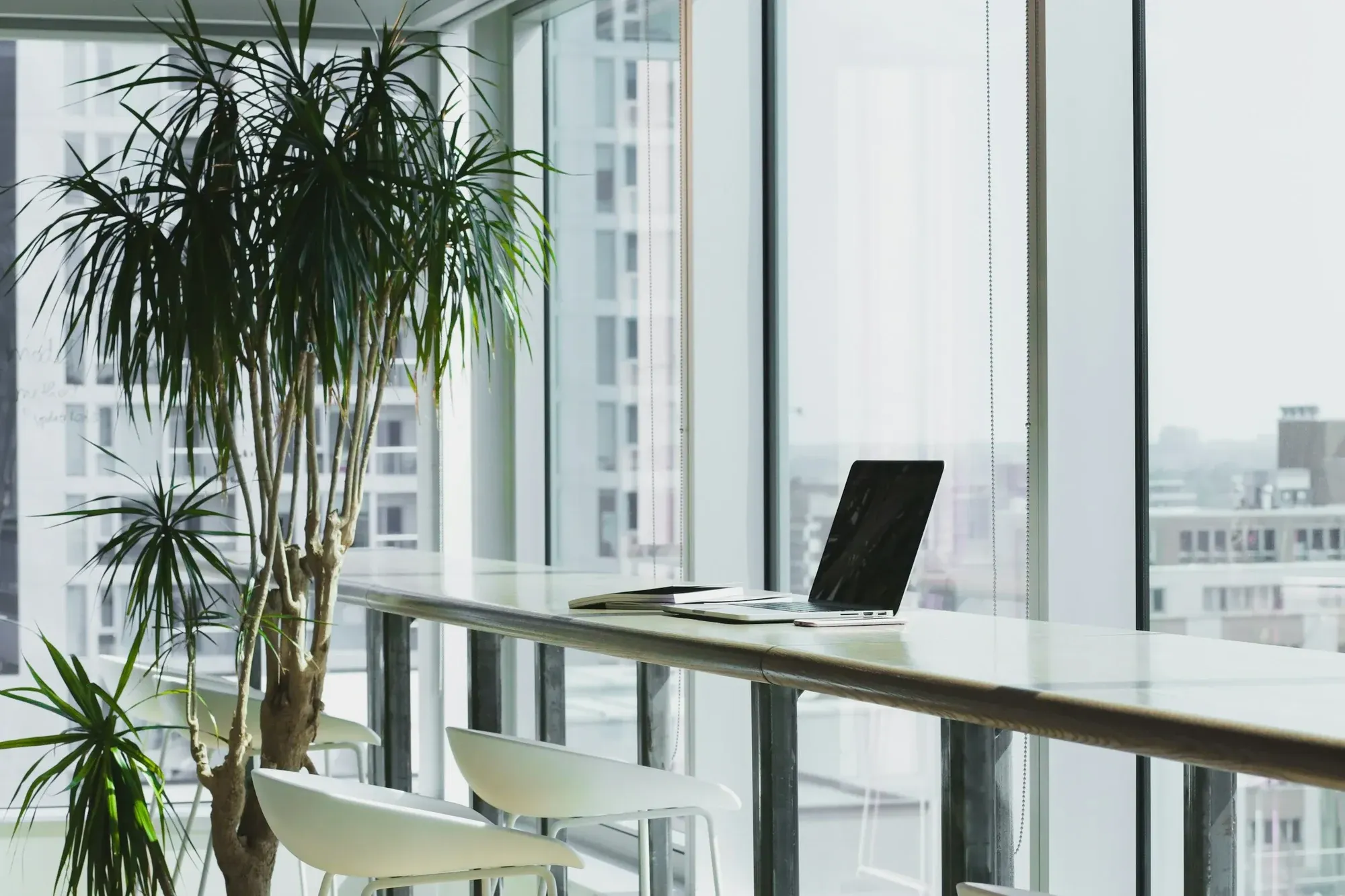 Desk counter by floor-to-ceiling windows with a laptop and a tall indoor plant